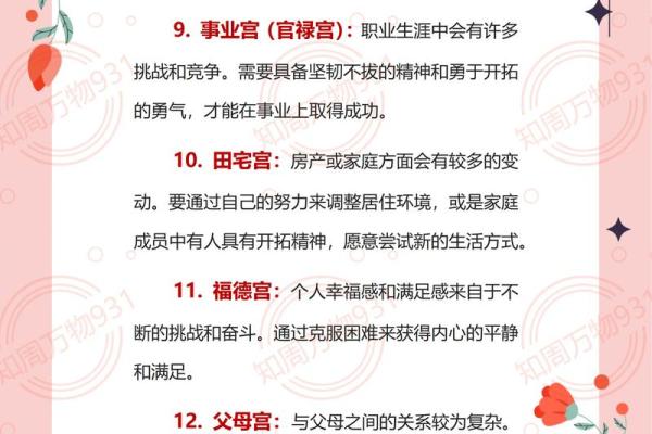 紫微斗数地劫星之十二宫释义