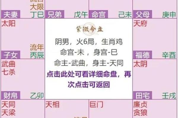 紫薇斗数怎么排盘的