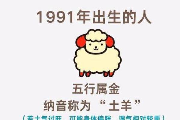 属羊的八字