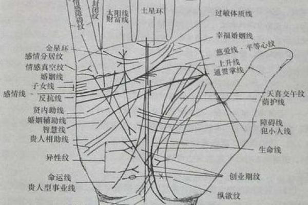 免费算命,神仙下凡 手上带灵气的人的特性