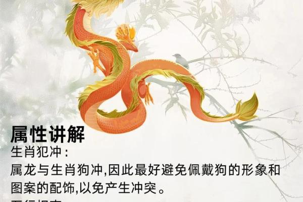 龙生肖配对大揭秘，十二生肖知识详解