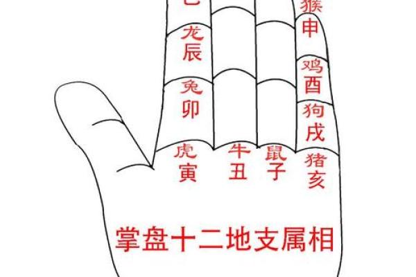 属相配对父子相冲