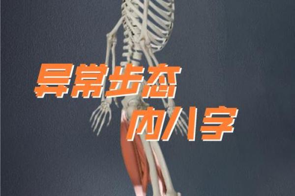 走路八字