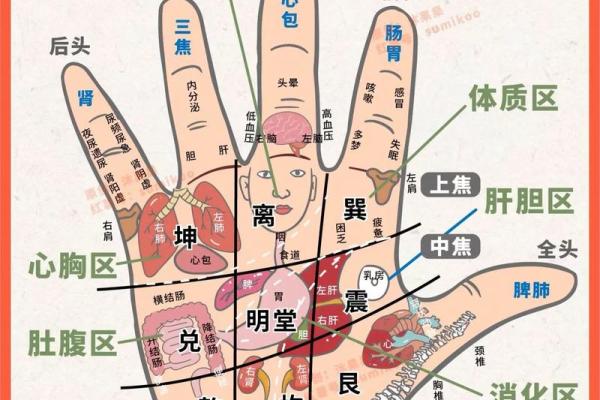 《手相学习百科》：手纹看旅游和迁徙
