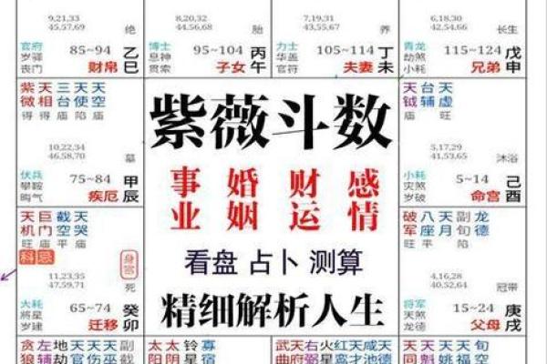 免费手机排八字软件推荐，准确分析八字运势