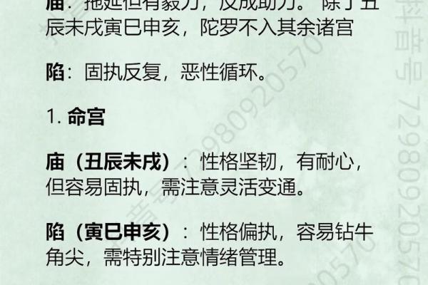紫薇斗数重点知识