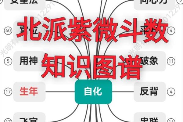 紫薇斗数重点知识