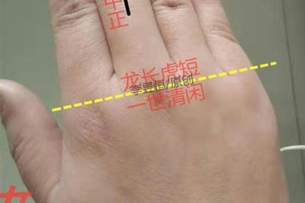 《手相学习百科》：手的形状