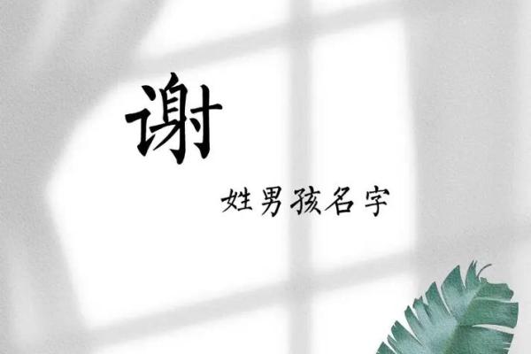 谢姓氏取名宝典_百科大全及名字大全推荐