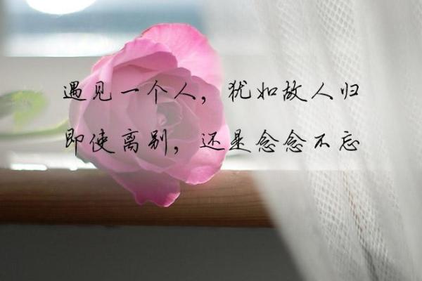 不花钱测试和一个人的缘分 测试和一个人的缘分尽了吗？