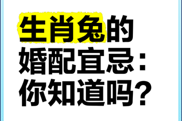 生肖兔的最佳婚配 谁跟属兔人更配对