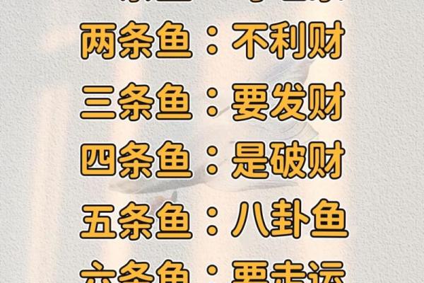 养鱼养几条好-千万注意条数对风水也有大影响