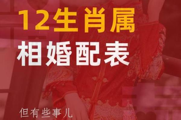 91年属什么生肖配对结婚 91年属什么动物