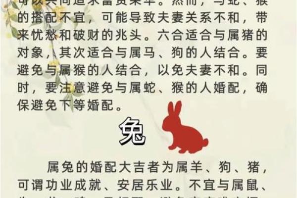 属鼠人姻缘配对 属鼠的人姻缘怎么样？