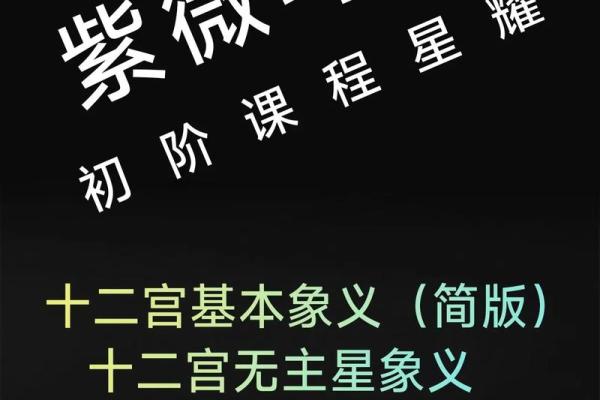 紫薇斗数出国