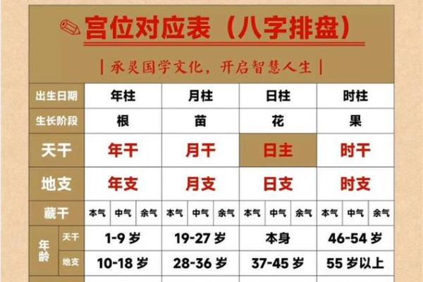 如何八字排盘