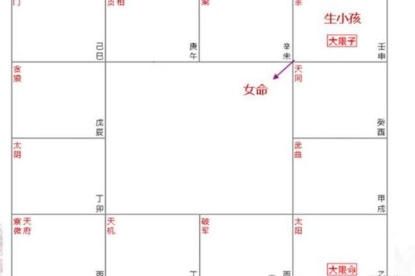 紫薇斗数的迁移