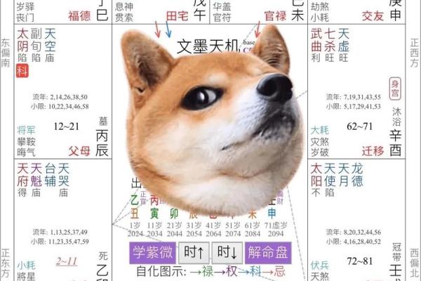 紫薇斗数拍盘