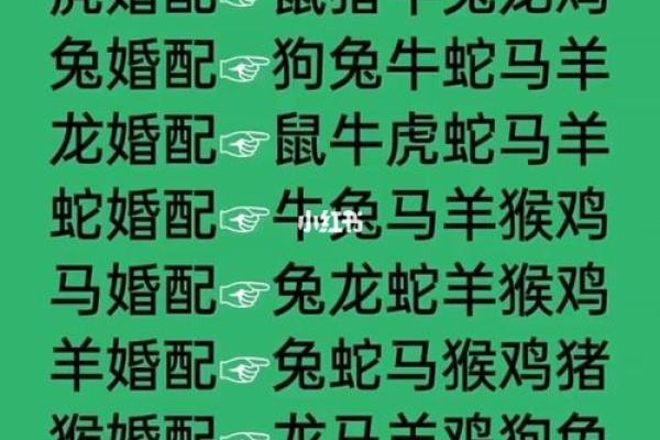 属相羊配对姻缘 属相羊婚配属相最好？