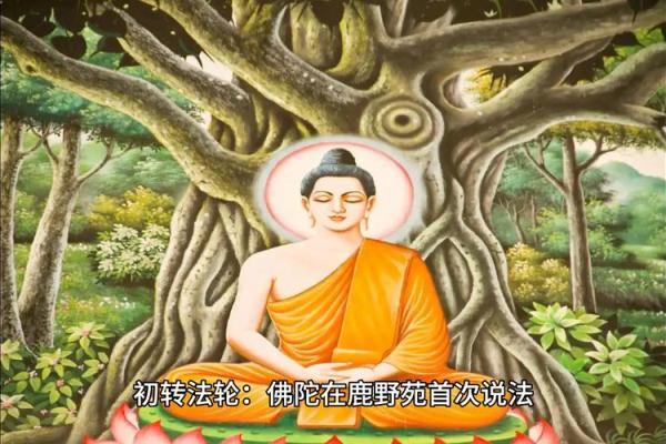 释迦佛在风水学中都有着哪些作用