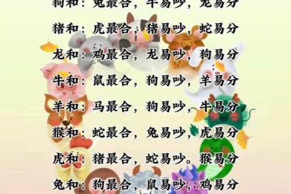 十二生肖配对表