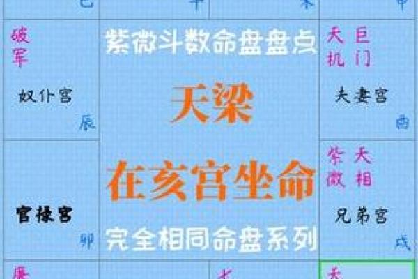 天粱紫薇斗数