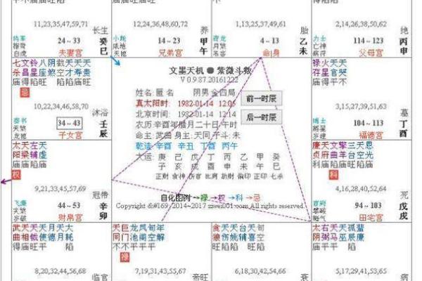 紫薇斗数巨富的条件