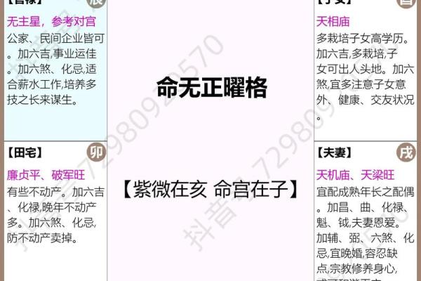 紫薇斗数巨富的条件