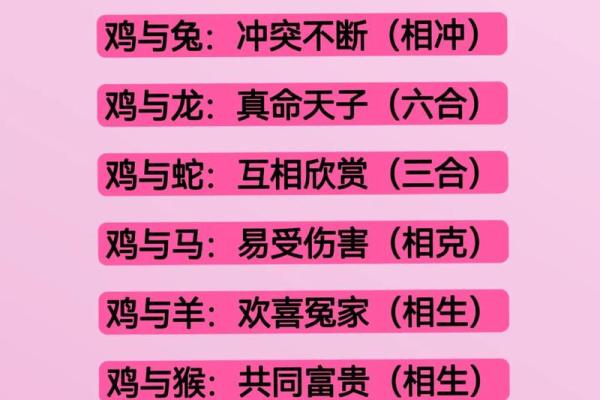 12生肖佳姻缘配对