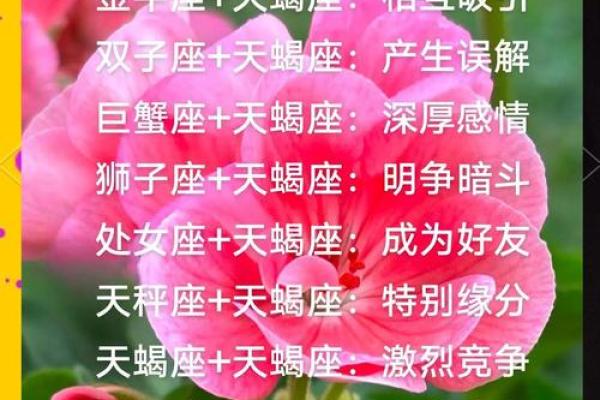 最佳合伙人的天蝎座配对