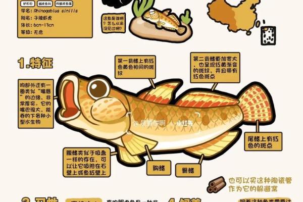 虎与最佳配鱼是什么  虎的最佳配对是什么