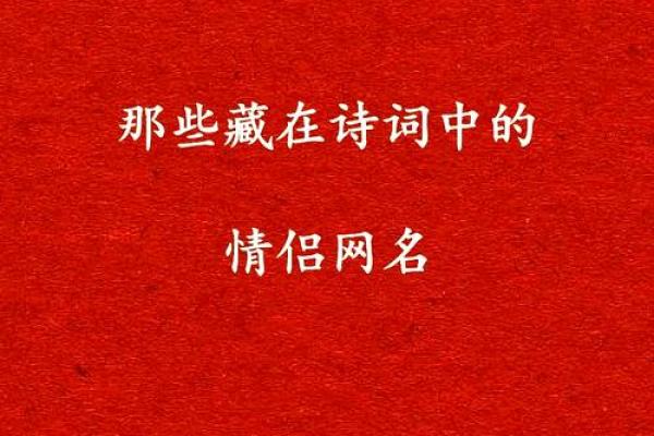 寻找有情人姓名配对 寻找有情人的诗句？