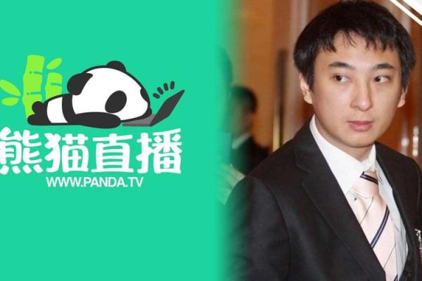 王思聪紫薇斗数