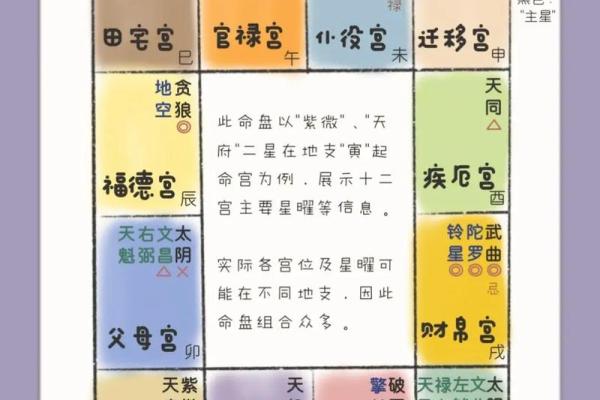 如何自学紫薇斗数