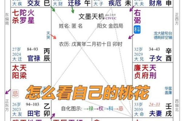 如何自学紫薇斗数