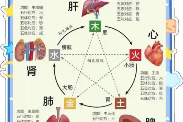 金命人最吉利的方位有哪些 金命人吉利的方位有哪些