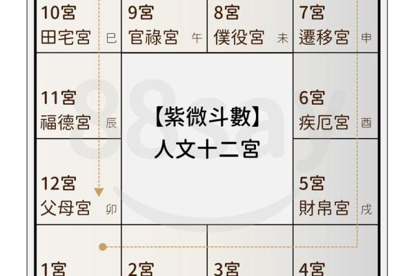 紫薇斗数配偶财富