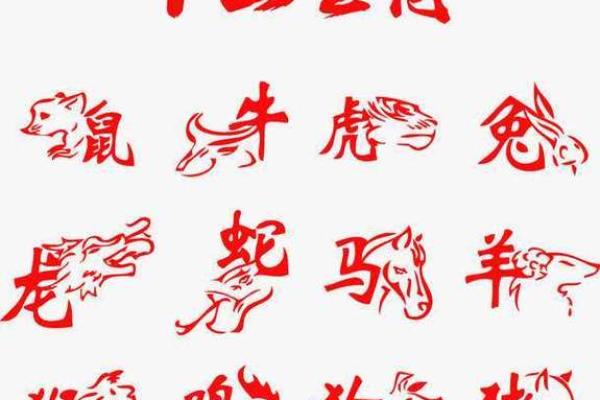 属狗在猪年财神在哪个方向