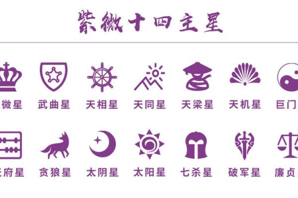 紫薇斗数星辰排序