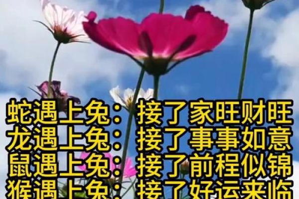 生肖兔与龙配对姻缘 生肖兔与龙相配吗？