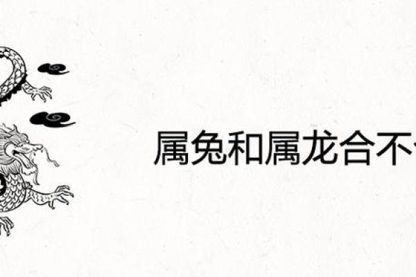 生肖兔与龙配对姻缘 生肖兔与龙相配吗？