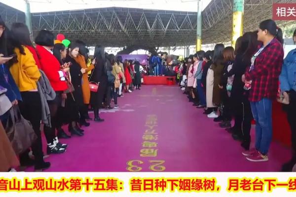 月老掉线姻缘树