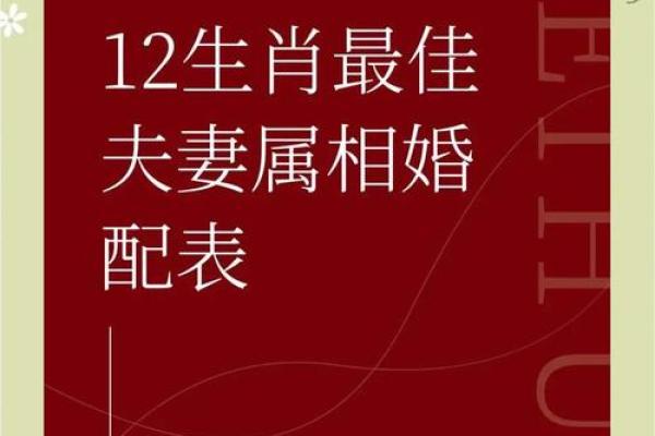 生肖配对什么生肖最好 最好的生肖组合