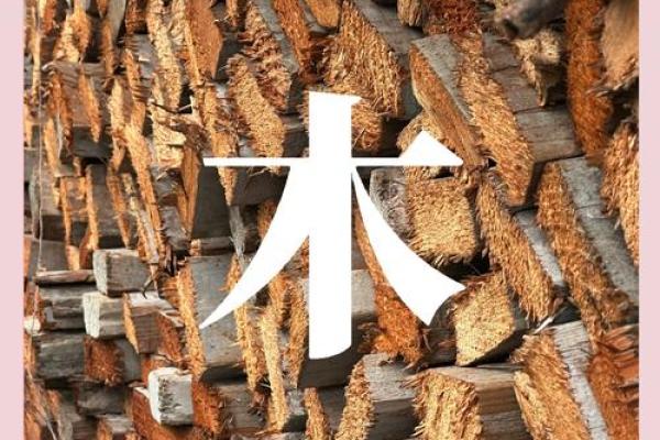 木命的人适合在什么方位工作