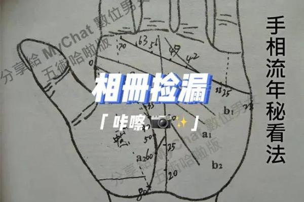 八字和手相