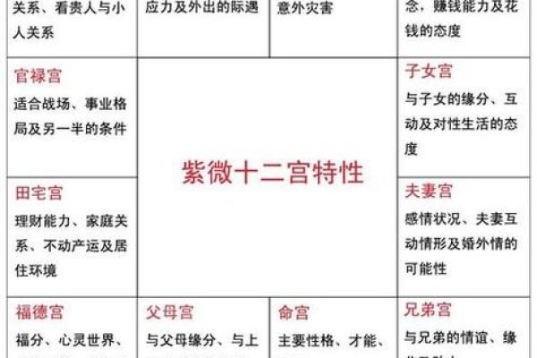 紫薇斗数向心忌
