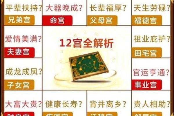 股票紫薇斗数预测