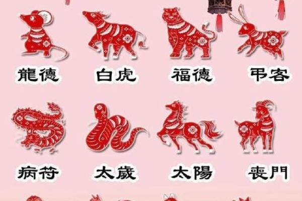 龙和老鼠属相合不合 龙和老鼠配对如何