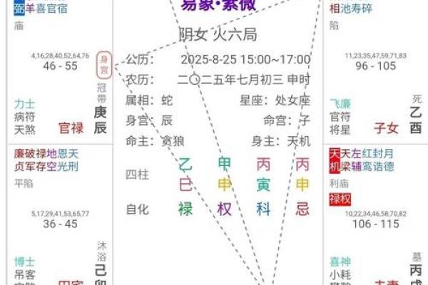 紫薇斗数命宫酉宫