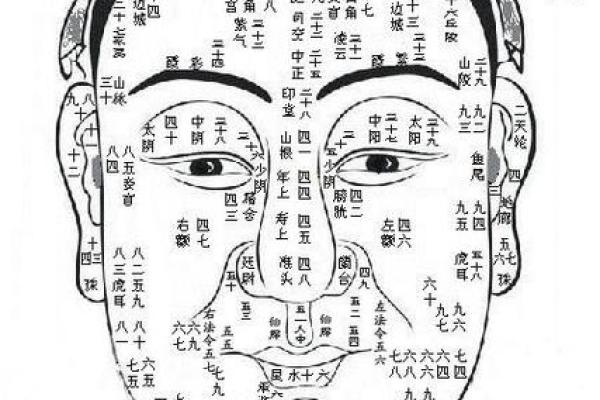 通过脸算命